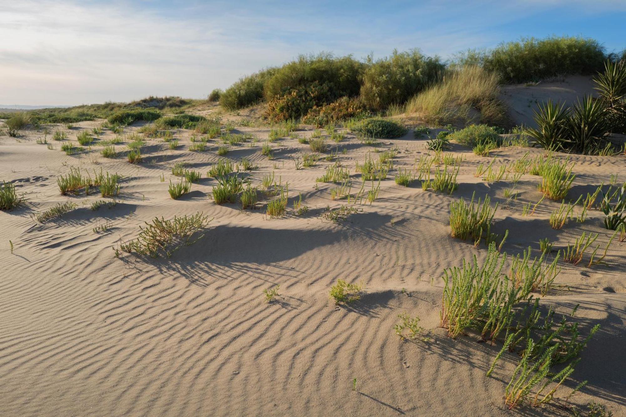 Apartamento - Atico Isla Canela Ayamonte Exteriér fotografie