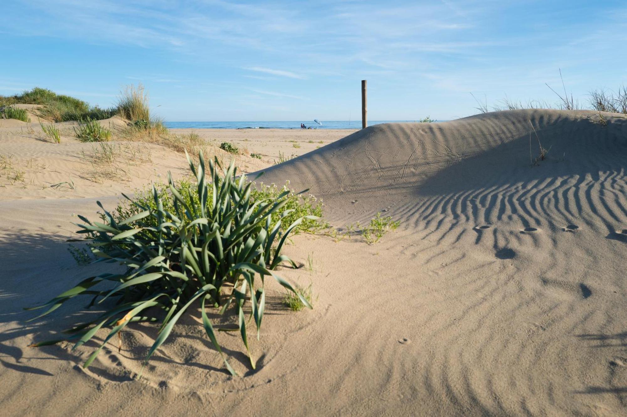 Apartamento - Atico Isla Canela Ayamonte Exteriér fotografie