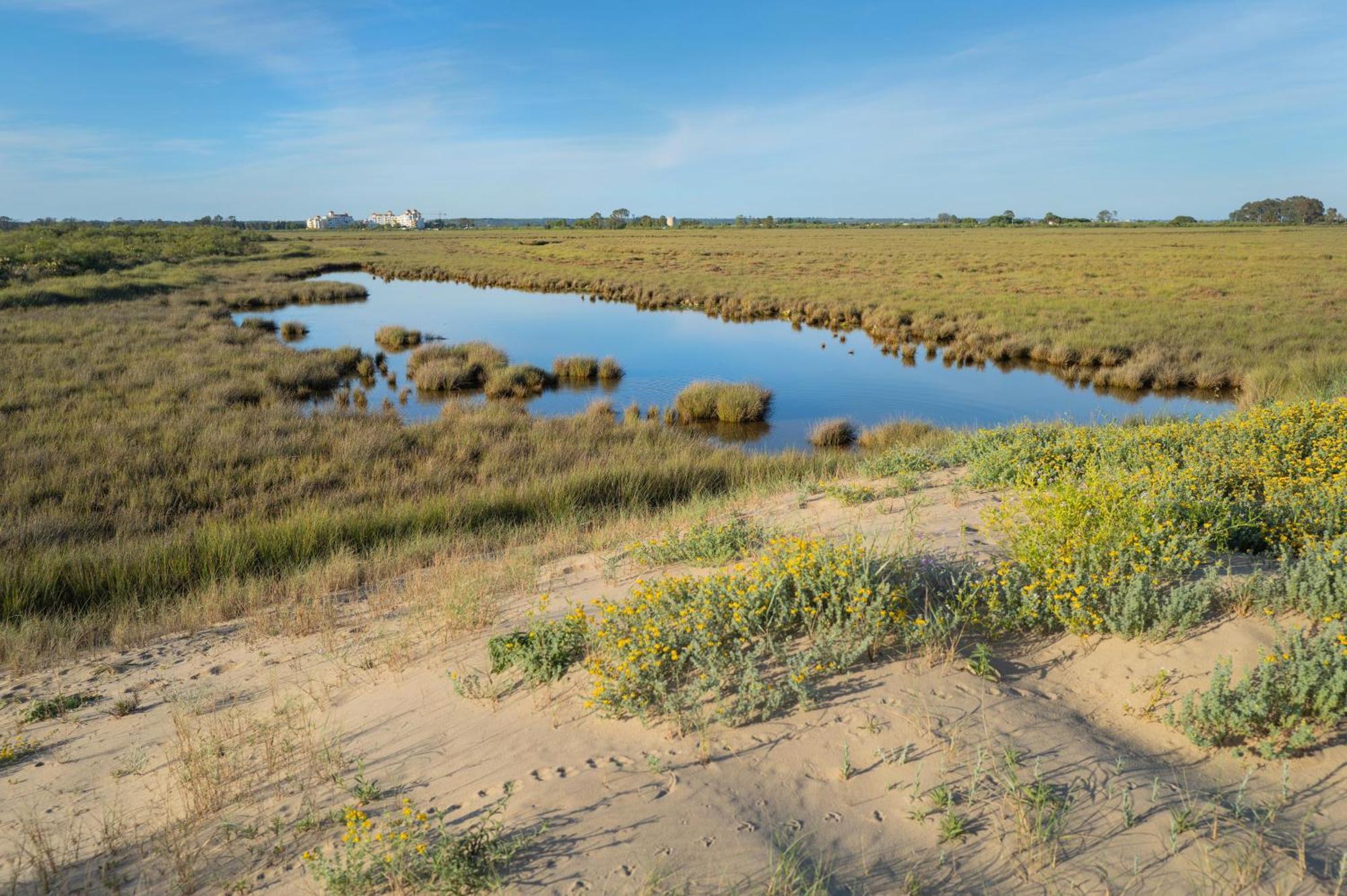 Apartamento - Atico Isla Canela Ayamonte Exteriér fotografie
